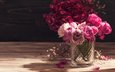 цветы, розы, красные, ваза, гортензия, irina bort