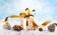 снег, новый год, подарки, праздник, рождество, шишки, композиция