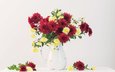 цветы, красные, букет, белый фон, ваза, желтые, хризантемы, натюрморт