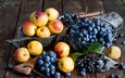 виноград, фрукты, абрикос, натюрморт, сливы, нектарин