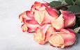 розы, букет, красивые, iryna melnyk