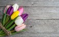 цветы, букет, тюльпаны, розовые, белые, желтые, фиолетовые, irina bort
