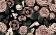 цветы, фон, розы, маки, розовые, белые, каллы, бесшовный
