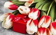 цветы, букет, тюльпаны, подарок, 8 марта