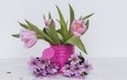 цветы, тюльпаны, хризантемы, лейка