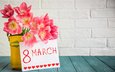 цветы, поздравление, букет, тюльпаны, праздник, 8 марта, международный женский день
