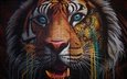 тигр, стена, клыки, животное, кирпичи, етекстура, artwork, дикая кошка, стрит-арт, красочная, ornamented