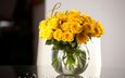 розы, букет, ваза, желтые