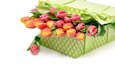 цветы, букет, тюльпаны, белый фон, подарок, бантик, . коробка