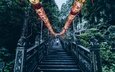 деревья, лестница, ступеньки, китай, подъём, китайские фонарики, zhishan park