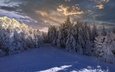 небо, облака, снег, природа, лес, зима, gérard marconnet