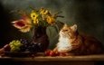 цветы, виноград, кот, кошка, взгляд, темный фон, букет, мордашка, рыжий, кувшин, помидоры, натюрморт