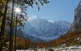 деревья, горы, лес, осень, словения, julian alps, юлийские альпы