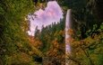 деревья, лес, водопад, осень, орегон, silver falls state park