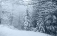 деревья, снег, природа, лес, зима, пейзаж, утро, туман, ветки, мороз, иней, ели, дымка, сугробы, в снегу, зимний