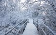 деревья, снег, природа, зима, пейзаж, мост