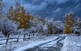 дорога, деревья, снег, осень, забор, казахстан