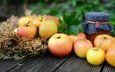 фрукты, яблоки, доски, плоды, банка, боке, варенье