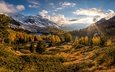 горы, лес, осень, швейцария, долина, альпы, валь-ди-кампо