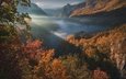 горы, лес, осень, ущелье, черногория