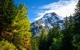 горы, природа, лес, осень, швейцария, альпы