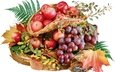 листья, виноград, фрукты, яблоки, белый фон, корзинка