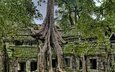небо, деревья, руины, архитектура, камбоджа, ангкор-ват