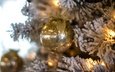 новый год, елка, хвоя, зима, ветки, иней, блеск, шар, шарик, праздник, рождество, золотой, елочные украшения, гирлянда, боке, позолота