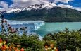 озеро, горы, кусты, ледник, аргентина, анды, патагония, los glaciares national park
