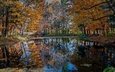 деревья, природа, отражение, парк, мост, осень