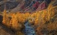 река, горы, природа, пейзаж, осень, алтай, владимир рябков