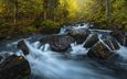 река, камни, лес, осень, норвегия, каскад