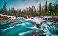 река, снег, лес, канада, британская колумбия, йохо национальный парк