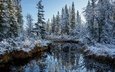 река, снег, лес, осень