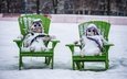 снег, новый год, зима, поза, забор, снеговик, зеленые, парочка, кресло, два, снеговики, сугробы, кресла, дуэт, снегопад, шапки