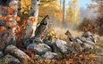 арт, природа, лес, осень, птицы, булыжники
