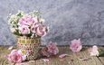 цветы, лепестки, розовые
