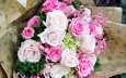 цветы, розы, букет, розовые, белые