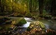 деревья, река, природа, камни, лес, листья, пейзаж, осень, мох