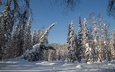 деревья, снег, лес, зима, россия, ели, тайга, сибирь