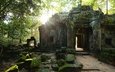 деревья, солнце, камни, руины, архитектура, камбоджа, ангкор-ват