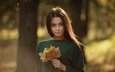девушка, портрет, взгляд, осень, лицо, кленовые листья, боке, dmitry arhar