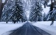 дорога, деревья, снег, природа, зима, ель