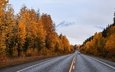 дорога, горы, лес, машина, туман, осень, разметка, путь, даль, асфальт, автомобиль, шоссе, краски осени, желтая листва, золотая осень