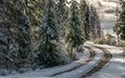 дорога, лес, зима