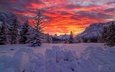 горы, снег, закат, зима, ели, канада, сугробы, провинция альберта, canadian rocky mountains