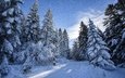 дорога, облака, деревья, снег, лес, зима, иней, ели, синева, сугробы, зимняя, заснеженный, зимний пейзаж