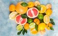 листья, фон, фрукты, апельсины, много, лайм, мандарины, лимоны, разные, грейпфрут, ассорти, цитрусовые