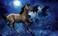 небо, арт, ночь, луна, лошади, кони, бег