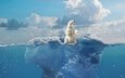 небо, облака, вода, медведь, пузыри, лёд, айсберг, рендеринг, белый медведь, льдина